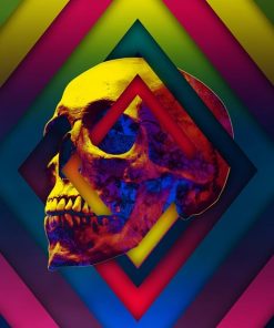 Colorful Skull Abstract Paint By Numbers