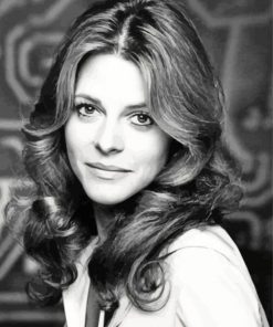 Lindsay Wagner Black White Paint By Numbers