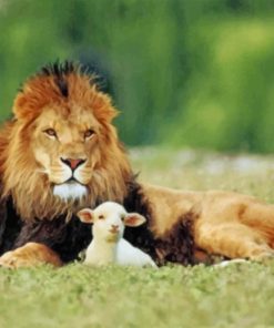 Lion and Lamb Wildlife Paint By Numbers