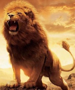 Lion King of the Wild Paint By Numbers