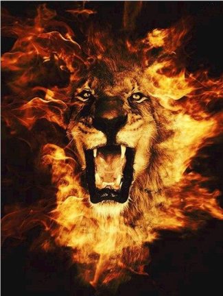 Lion Flame Artistry Paint By Numbers