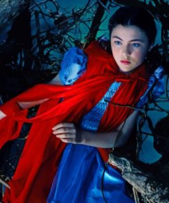 Red Riding Hood Movie Scene Paint By Numbers