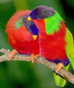 Loriini Parrots Paint By Numbers