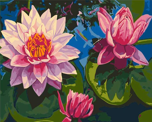 Pink Lotus Flower Paint By Numbers