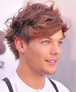 Cute Louis Tomlinson One Direction Paint By Numbers