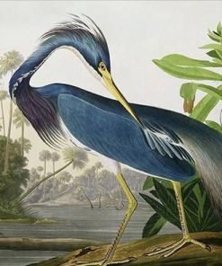 Blue Heron Wildlife Paint By Numbers