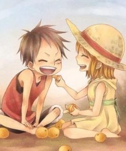 Luffy Nami Animation Paint By Numbers