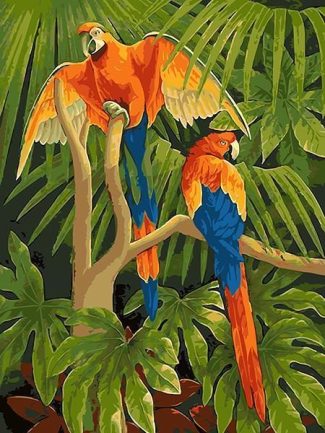 Macaw Jungle Adventure Paint By Numbers