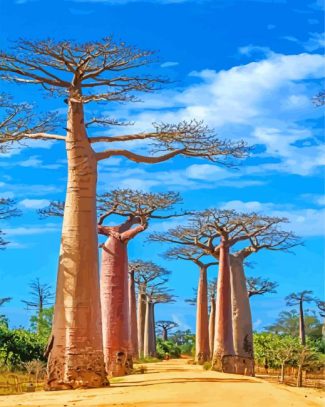 Madagascar Boababs Landscape Paint By Numbers