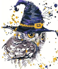 Enchanted Owl Splash Paint By Numbers