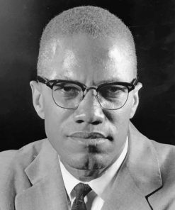 Malcolm X Black White Paint By Numbers