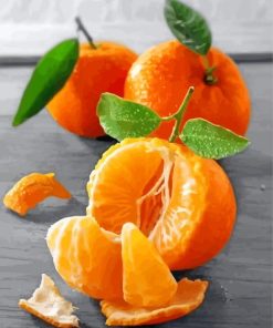 Mandarin Orange Paint By Numbers