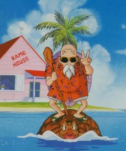 Master Roshi Anime Paint By Numbers