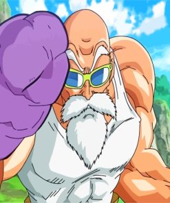 Dragon Ball Z Master Roshi Paint By Numbers
