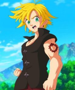 Meliodas Anime Fantasy Paint By Numbers