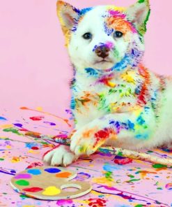 Colorful Dog Mess Paint By Numbers