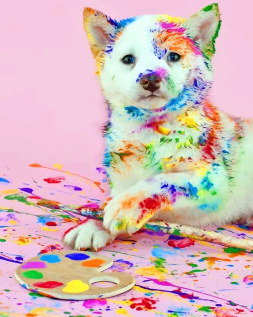Finalizing Colorful Dog Mess Paint By Numbers Artwork