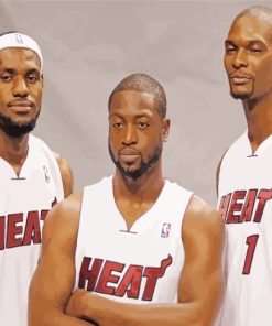 Miami Heat Star Basketball Paint By Numbers