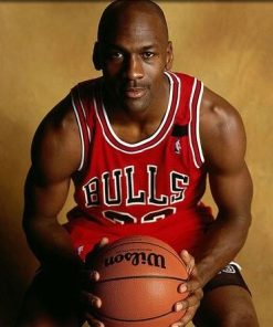 Michael Jordan Basketball Legend Paint By Numbers