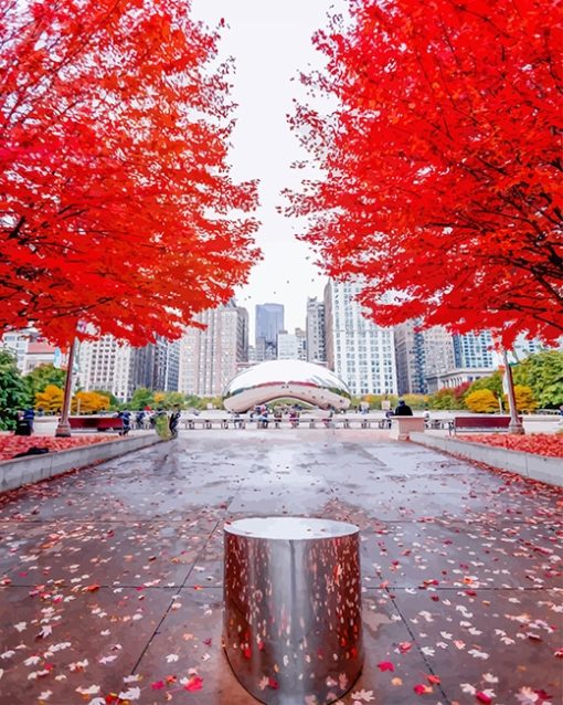 Millennium-Park-Chicago-adult-paint-by-numbers