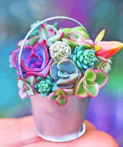 Mini Succulent Plant Paint By Numbers