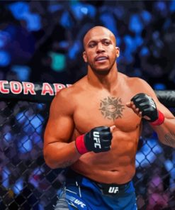 Ciryl Gane MMA Champion Paint By Numbers