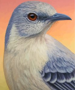 Mockingbird Wildlife Paint By Numbers