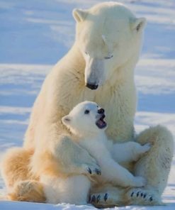 Polar Bear Family Paint By Numbers