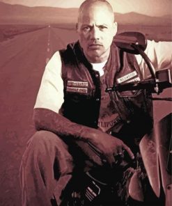 Happy Lowman Anarchy Paint By Numbers