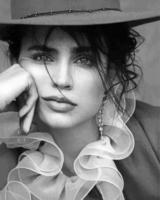 Monochrome-Sofia-carson-paint-by-number