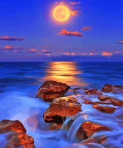 Moonlit Beach Scene Paint By Numbers