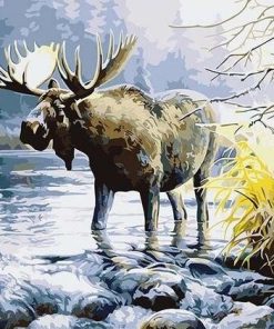 Moose in River Paint By Numbers