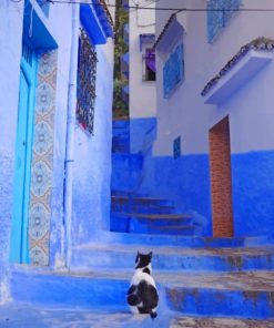 Moroccan Cats Blue House Paint By Numbers