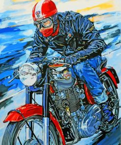 Motorcycle Enthusiast Paint By Numbers
