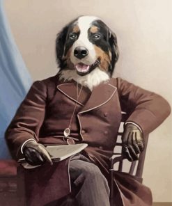 Mr Bernese Mountain Dog Paint By Numbers
