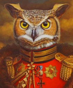 Mr Owl Eastern Screech Paint By Numbers