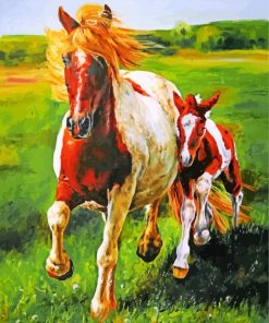 Wild Mustang Foal Paint By Numbers