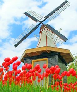Muziejny Komplieks Windmill Paint By Numbers