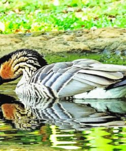 Nene Goose Bird in Pond Paint by Numbers