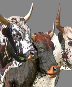 Nature-Inspired Nguni Cattle Paint By Numbers
