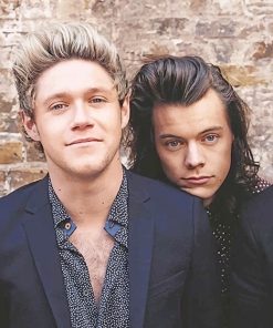 Harry Styles Niall Horan Collab Paint By Numbers
