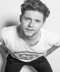 Niall Horan Fashion Shoot Paint By Numbers