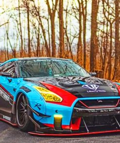 Nissan GTR Performance Car Paint By Numbers