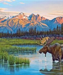 Solitude Elk Wildlife Paint By Numbers