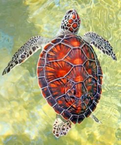 Ocean Turtle Seascapes Paint By Numbers