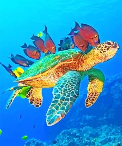 Ocean Fishes Paint By Numbers