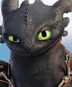 Toothless How to Train Your Dragon Paint By Numbers
