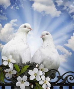 Pigeons and Doves Bird Picture Paint By Numbers