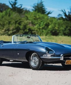 Classic Convertible Cars Paint By Numbers