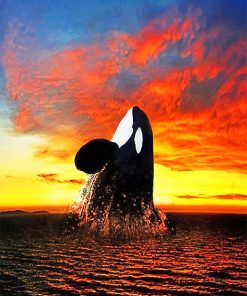 Orca Ocean Sunset Paint By Numbers